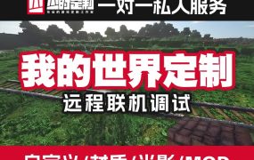 定制/远程服务【整合包】【服务端】【服务器】